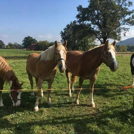 بيت ضيافة Planina Pod Sumikom Planina pod Sumnikom