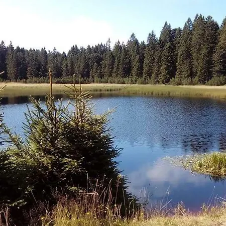 Гостевой дом Planina Pod Sumikom Planina pod Sumnikom