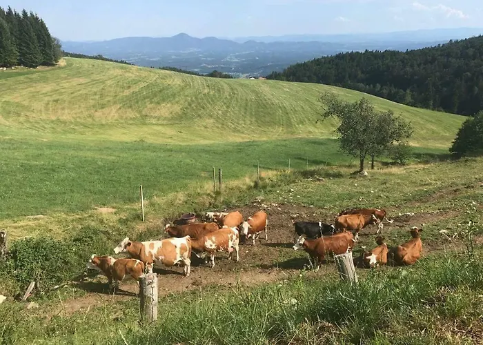 Planina Pod Sumikom 3*