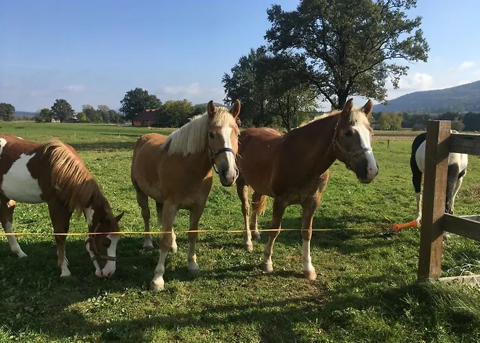 Gasthuis Planina Pod Sumikom Planina pod Sumnikom